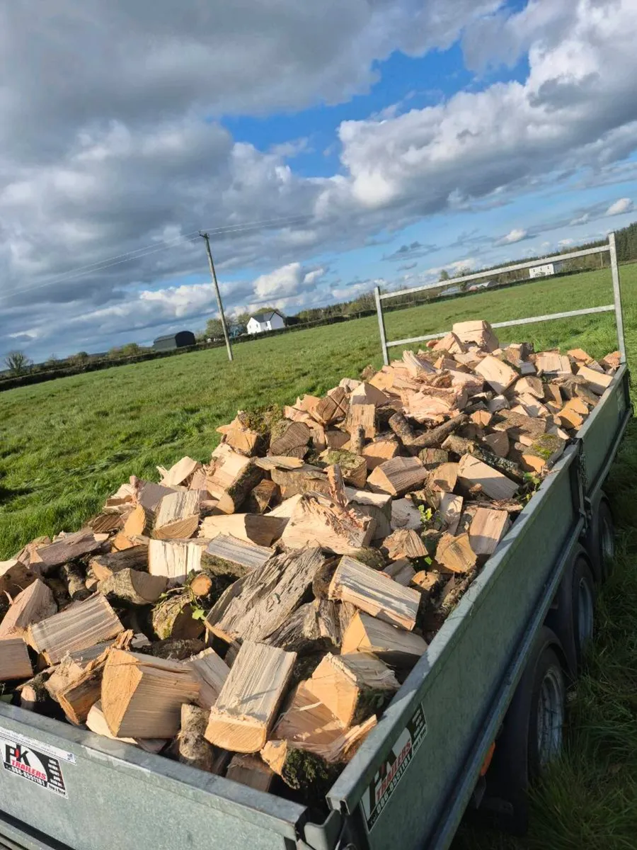 Load of Timber - Image 2