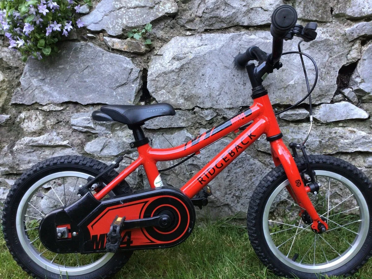 RIDGEBACK BIKE - EXTREMELY RELIABLE - Image 3