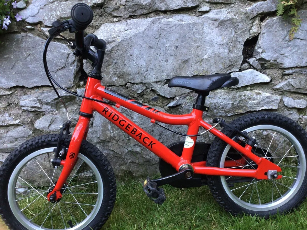 RIDGEBACK BIKE - EXTREMELY RELIABLE - Image 1