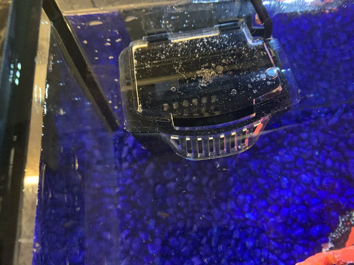 An 18.4 L fish tank - Image 3