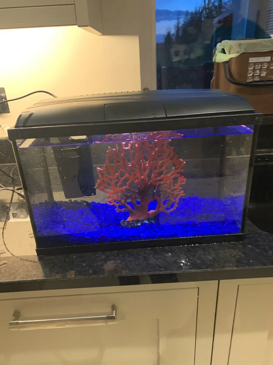 An 18.4 L fish tank - Image 1