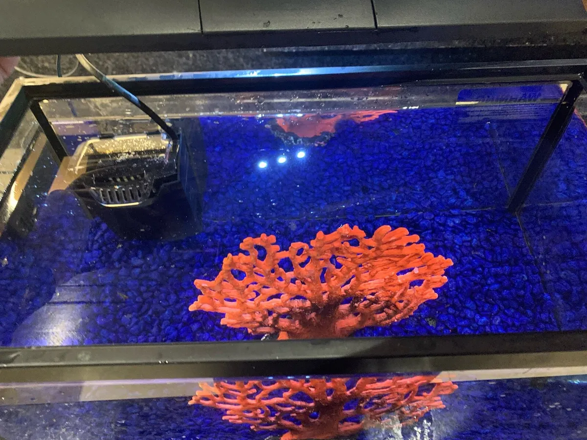An 18.4 L fish tank - Image 2