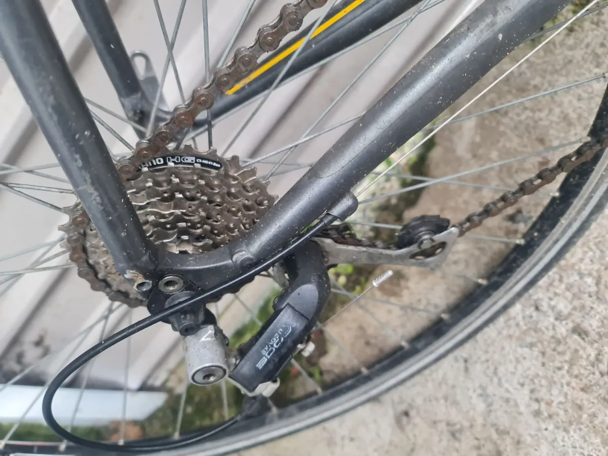 24 speed specialized lightweight racer - Image 4