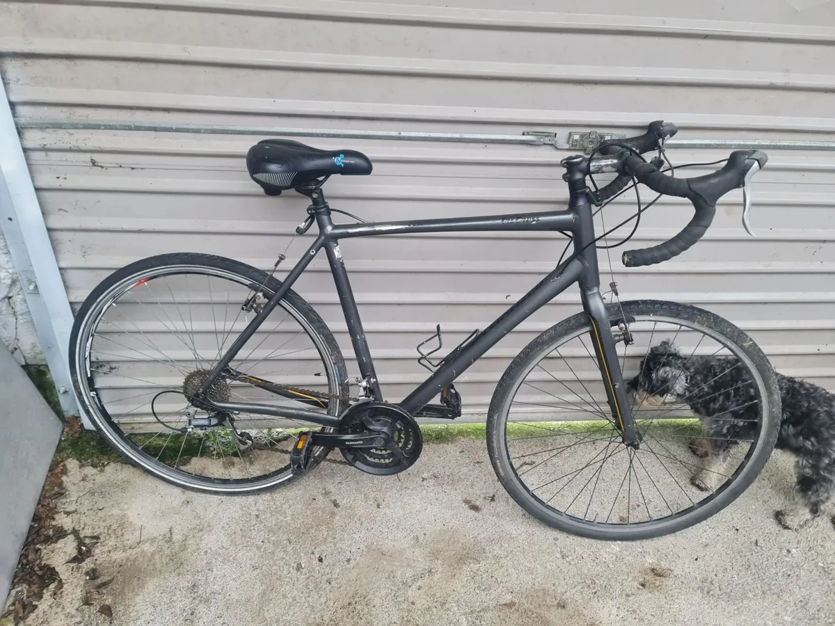 24 speed specialized lightweight racer - Image 1