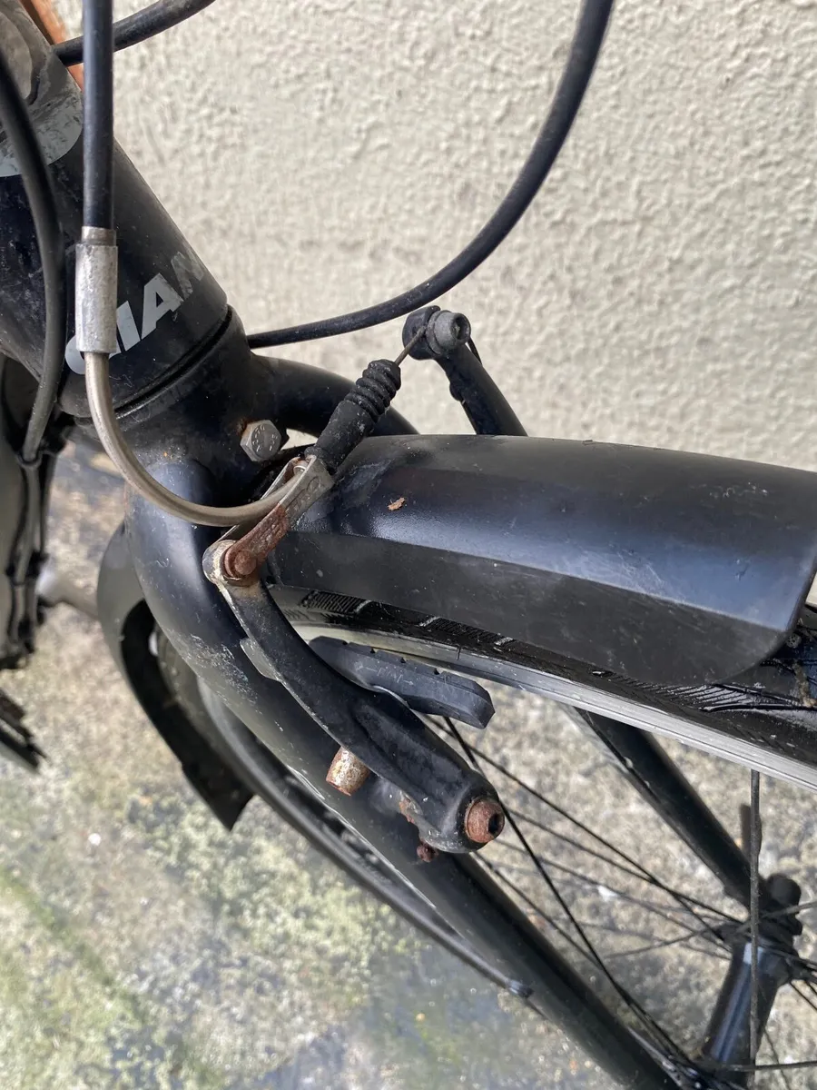 Giant escape - Image 3