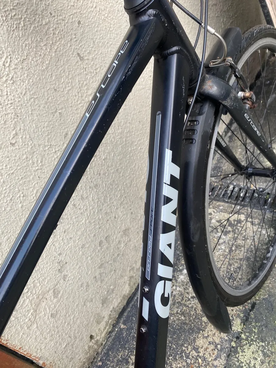 Giant escape - Image 2