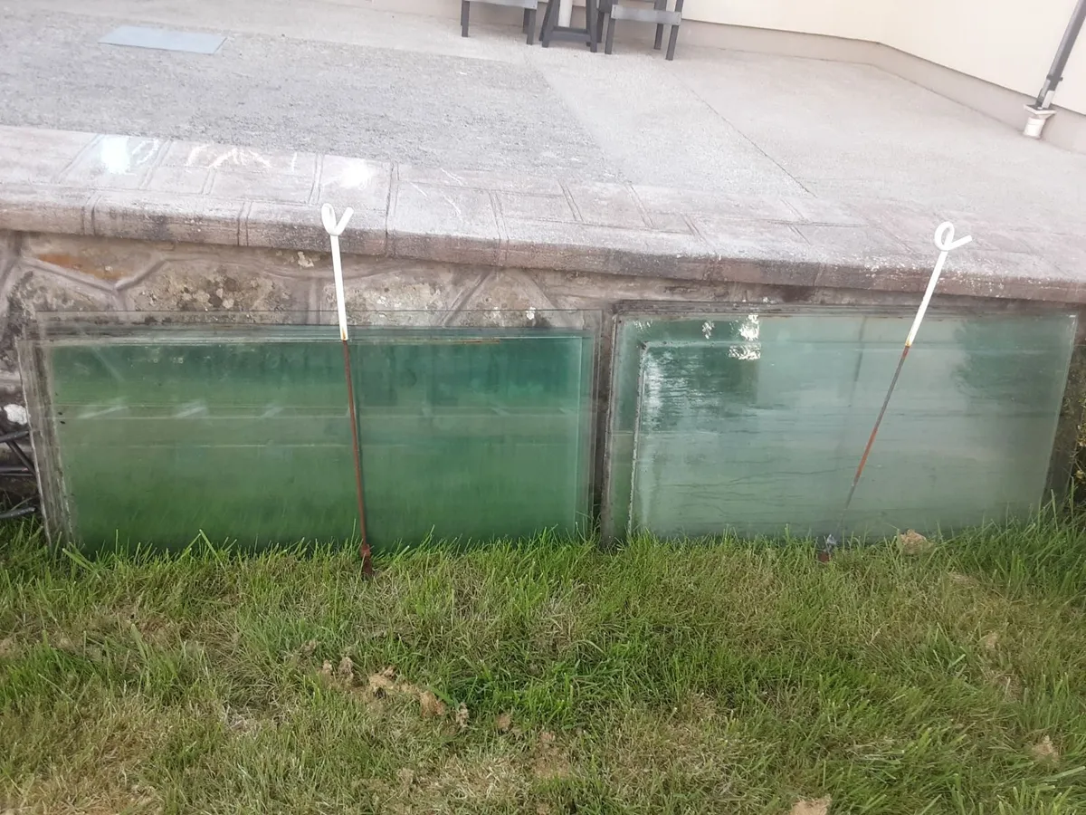 Glasshouse - Image 2