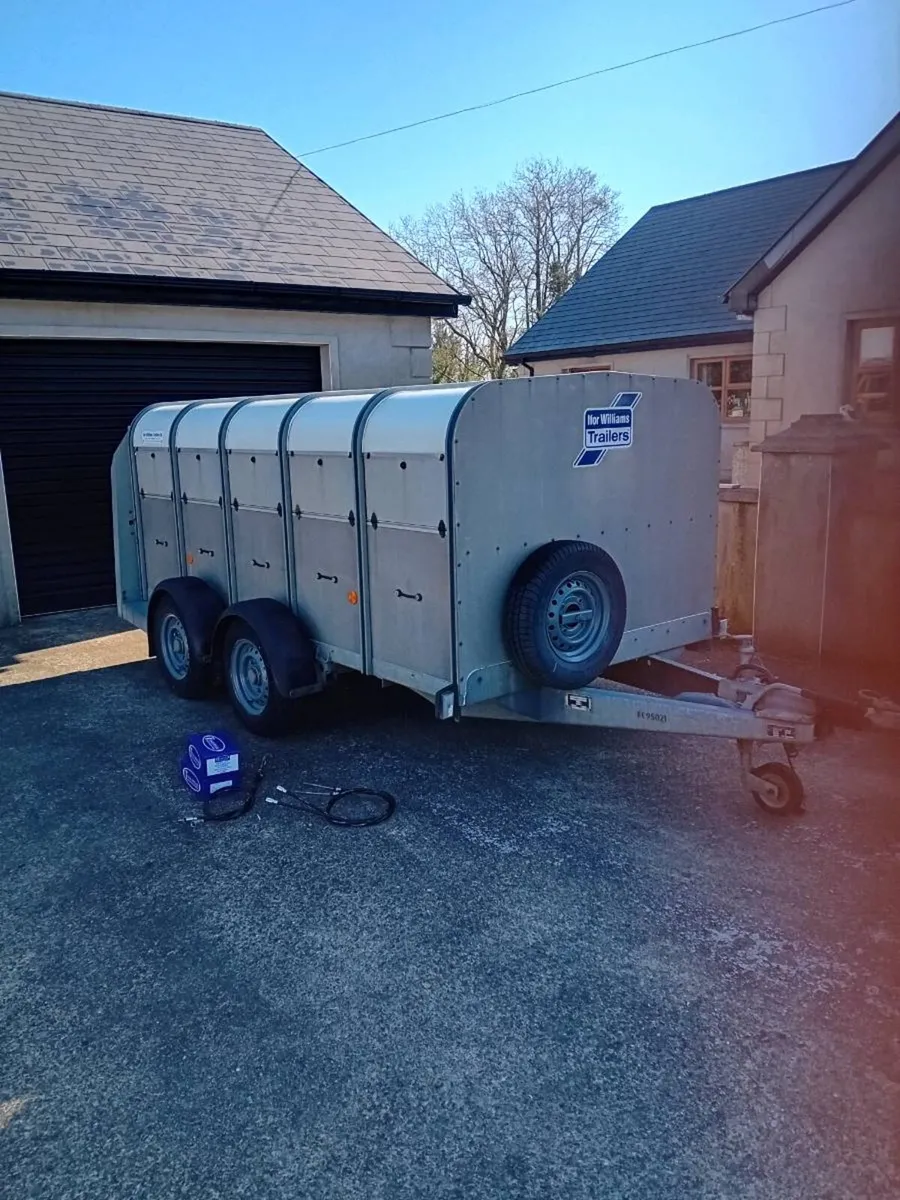 Livestock Trailer 10x 5 low roof - Image 1