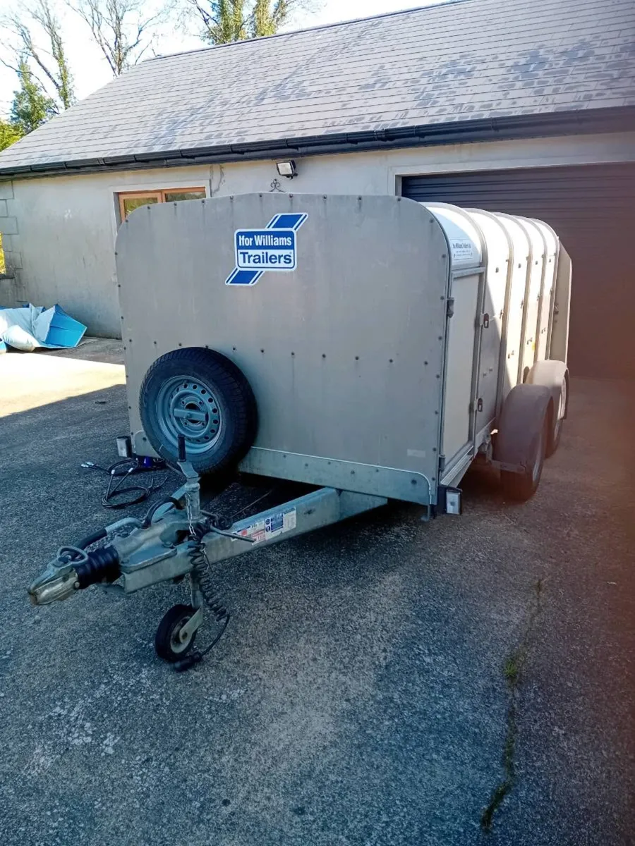 Livestock Trailer 10x 5 low roof - Image 2