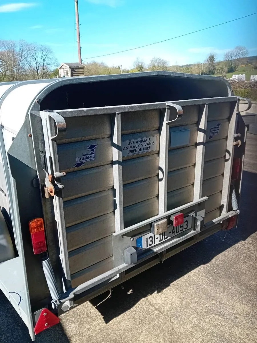 Livestock Trailer 10x 5 low roof - Image 3