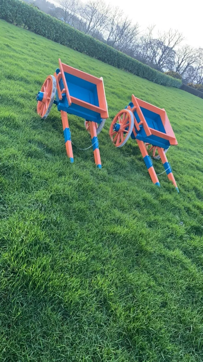 Donkey karts - Image 2