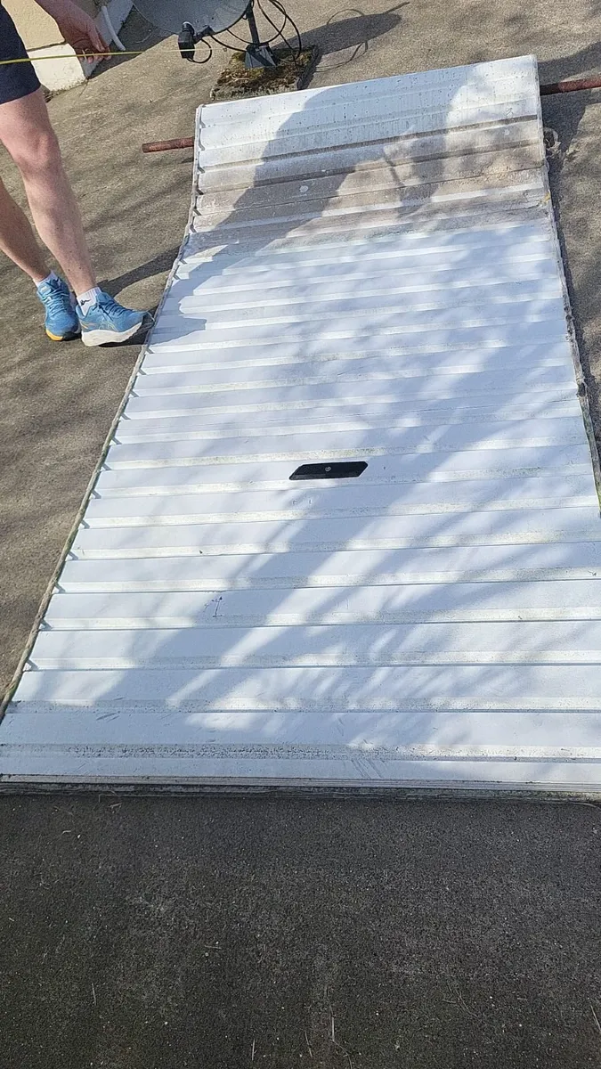 Shed Roller door - Image 1