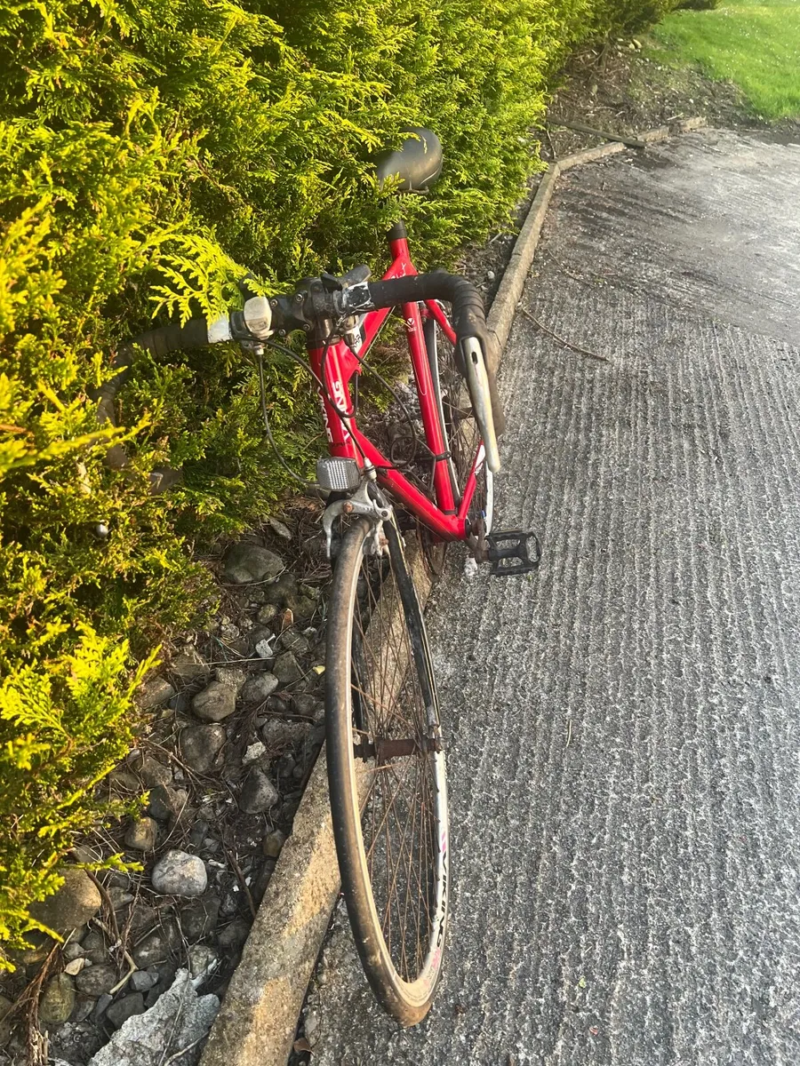 Viking Racer bicycle - Image 1