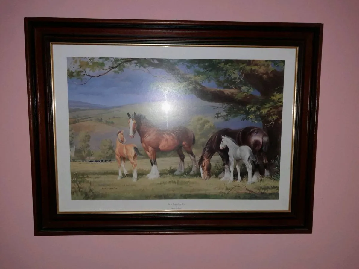 Picture - Image 1