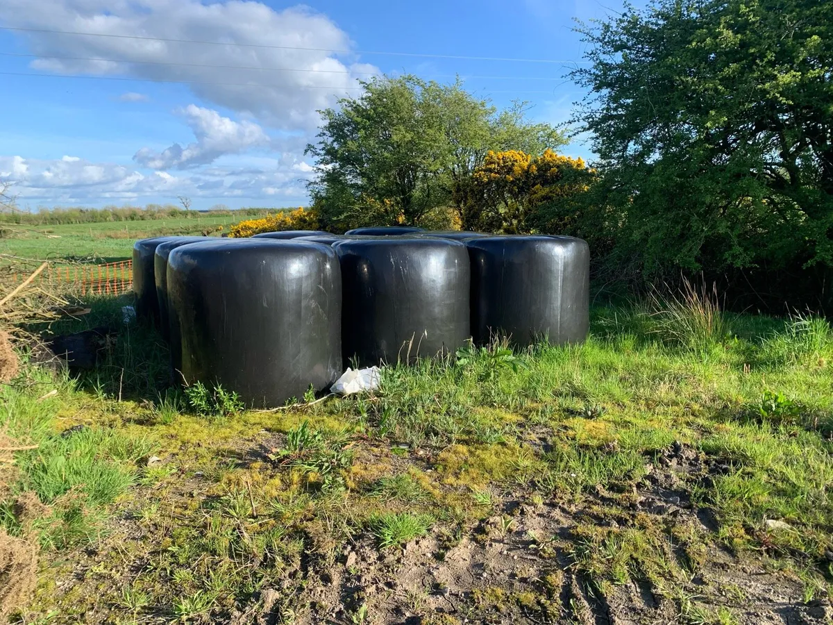 Round bales of Silage
