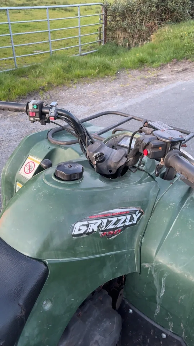 Yamaha Grizzy 350 - Image 4