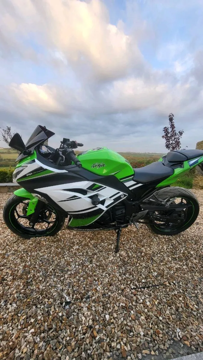 Kawasaki Ninja 300 - Image 1