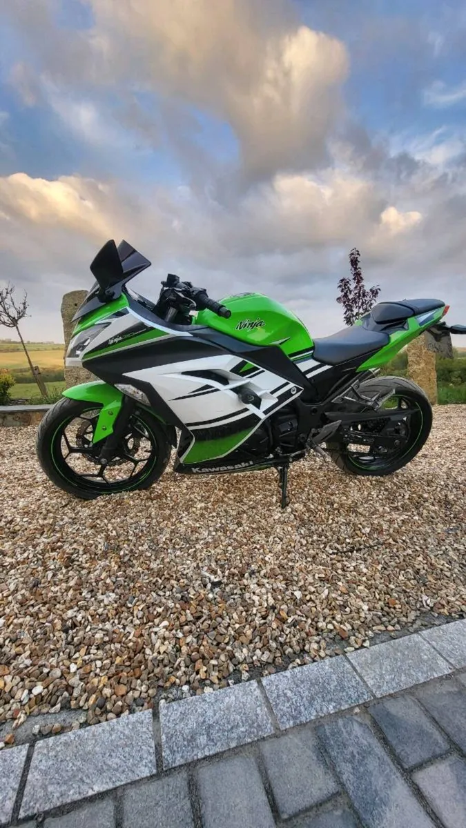 Kawasaki Ninja 300 - Image 3
