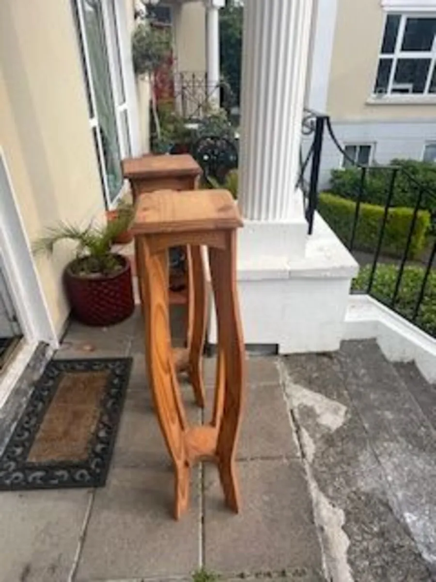 A pair of pine plant/sculpture stands - Image 2