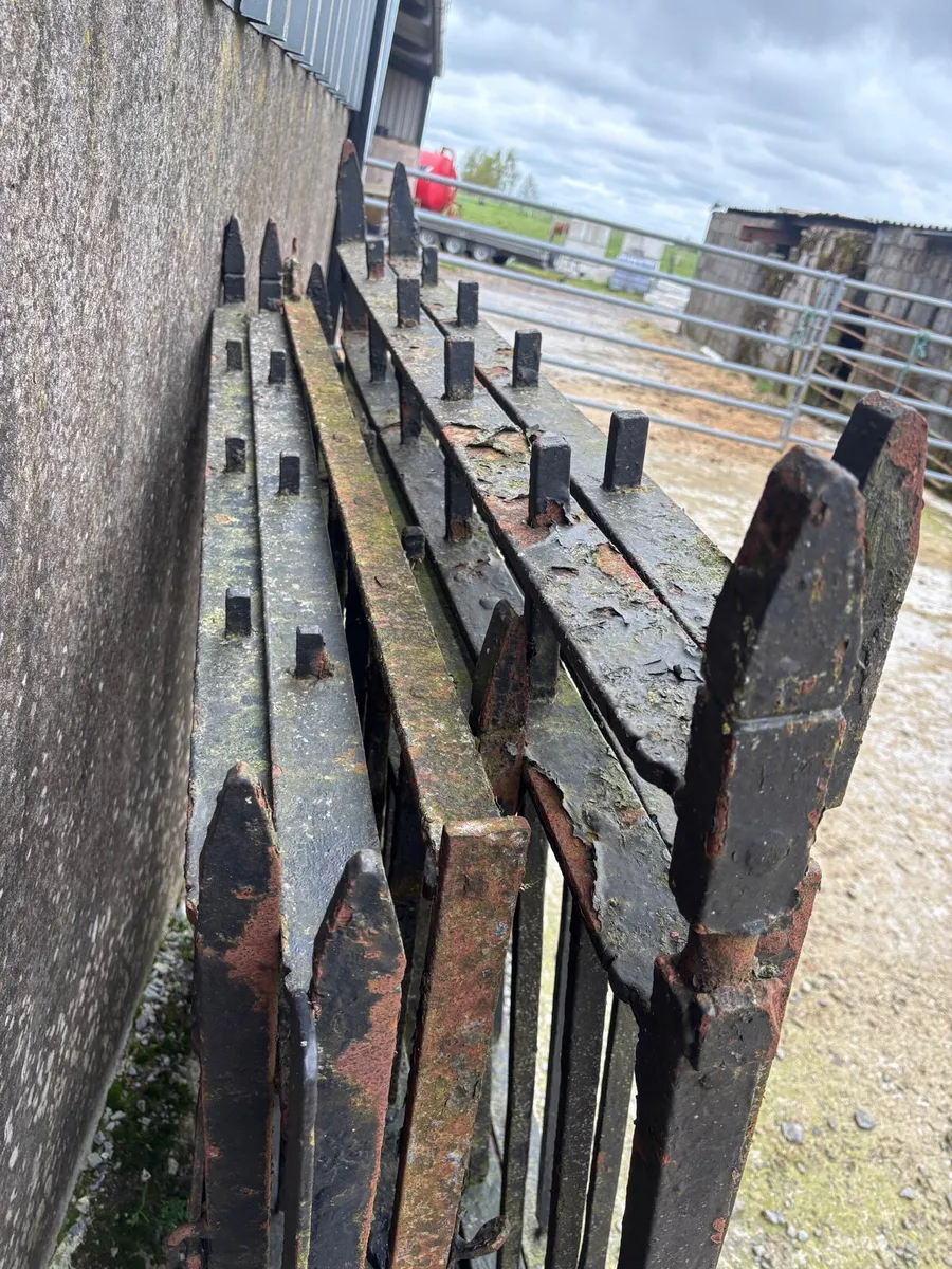 Cast iorn gates - Image 3