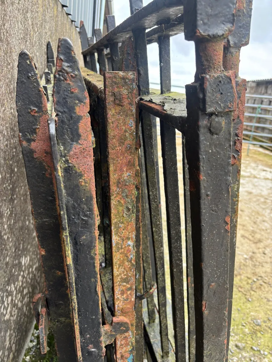 Cast iorn gates - Image 4