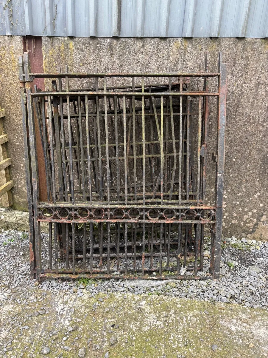 Cast iorn gates - Image 1