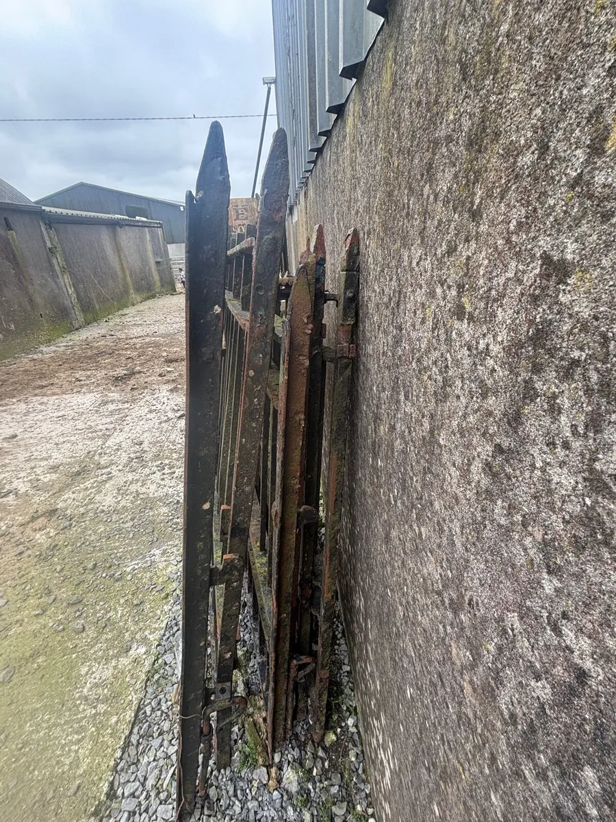 Cast iorn gates - Image 2