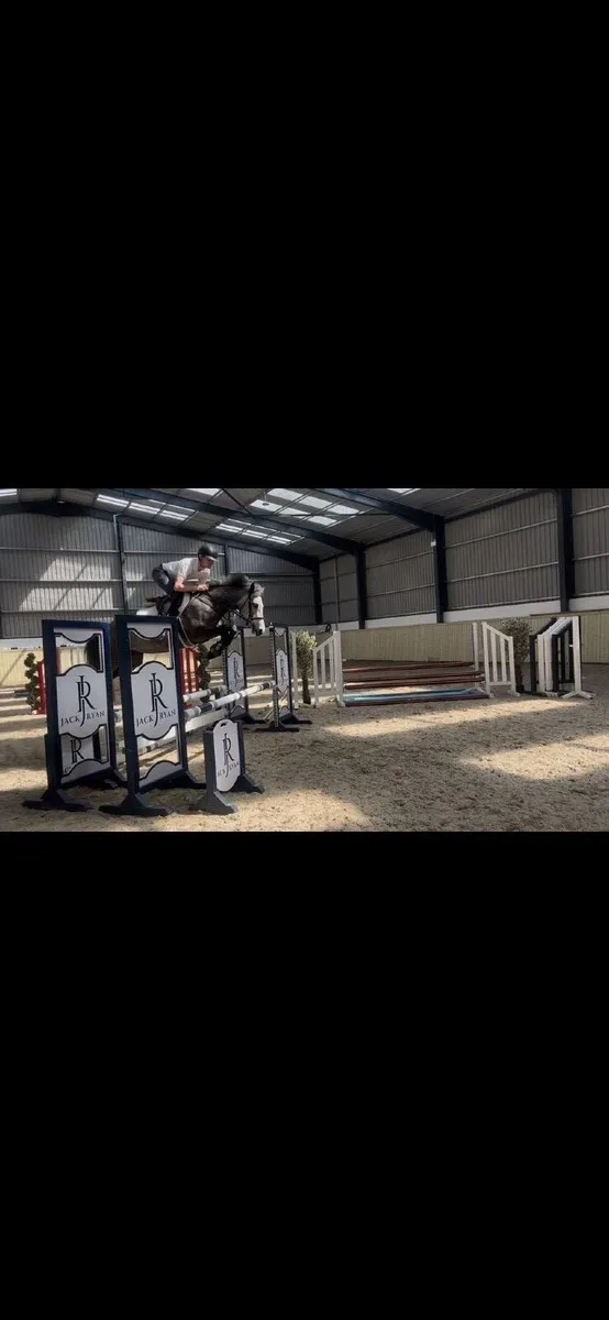 Beautiful 148 Full Connemara - Image 2