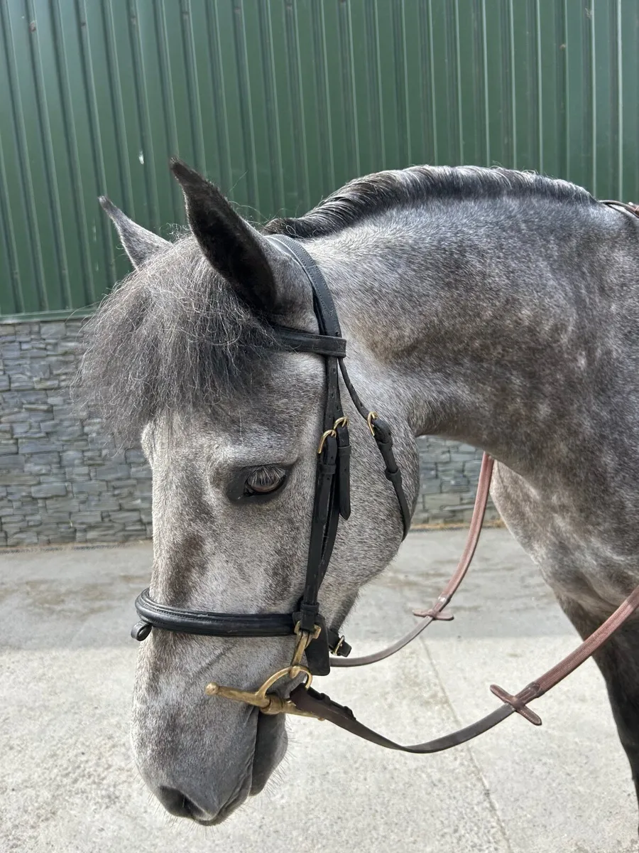 Beautiful 148 Full Connemara - Image 1