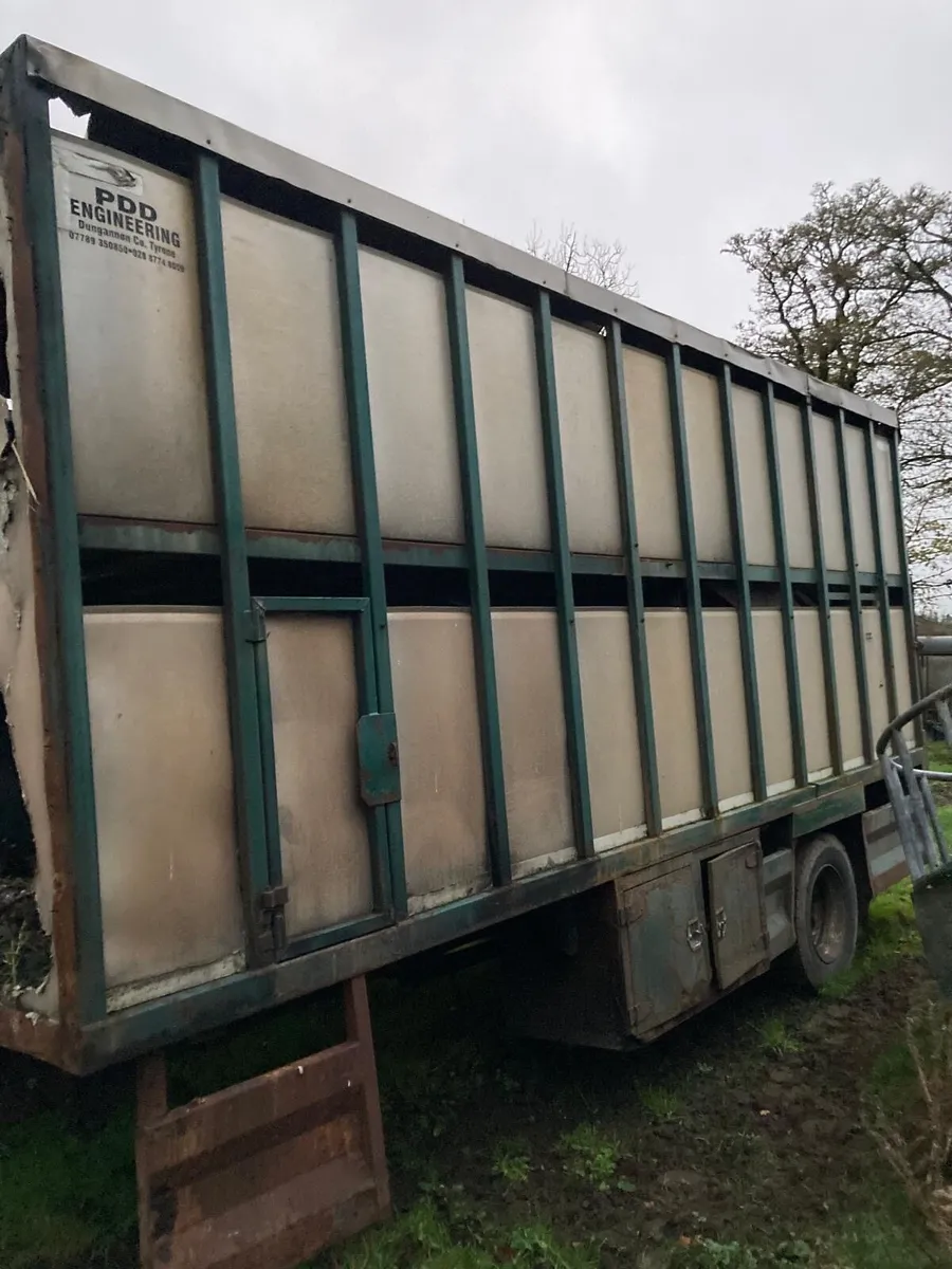 Cattle body - Image 2