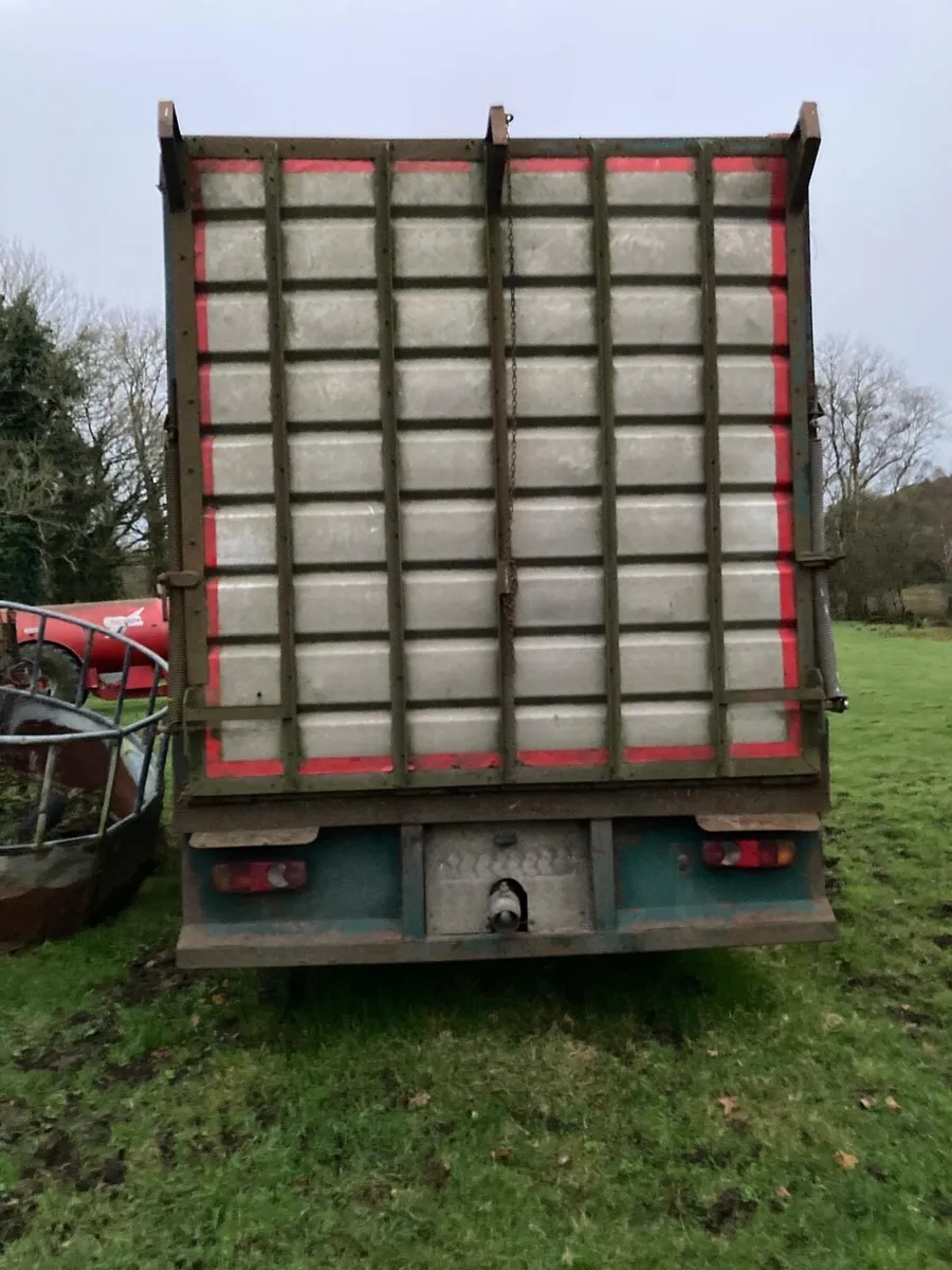 Cattle body - Image 4