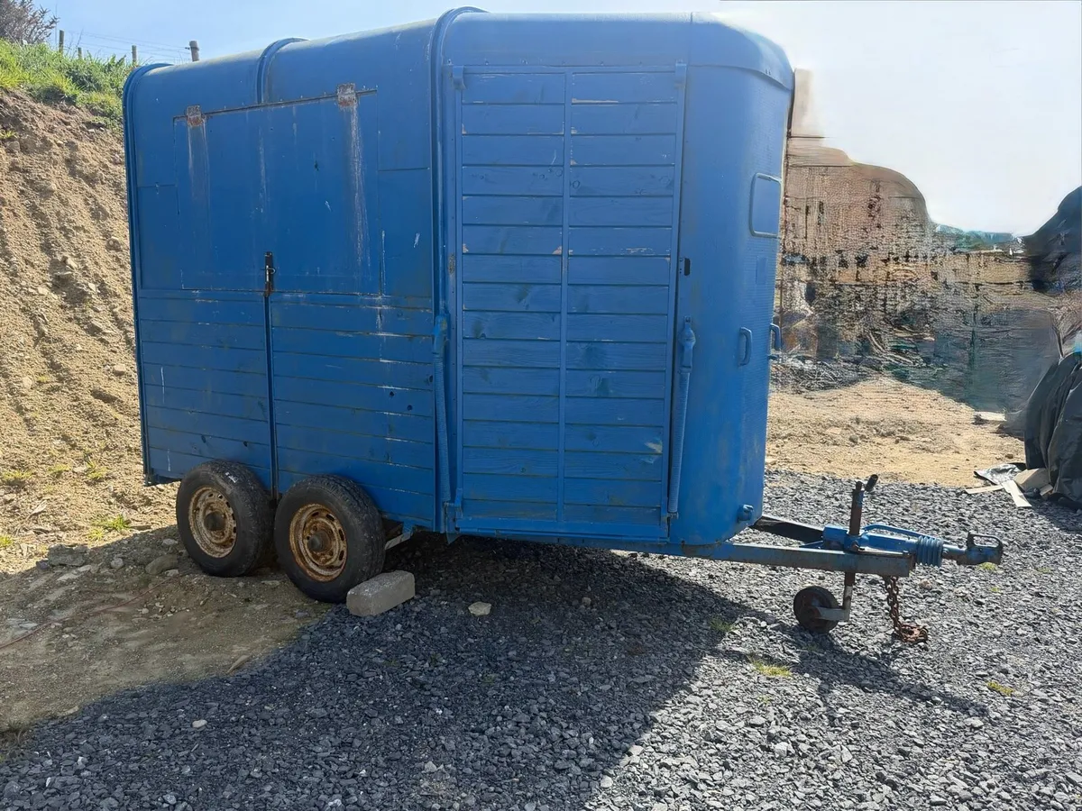 Horsebox coffee trailer project - Image 1