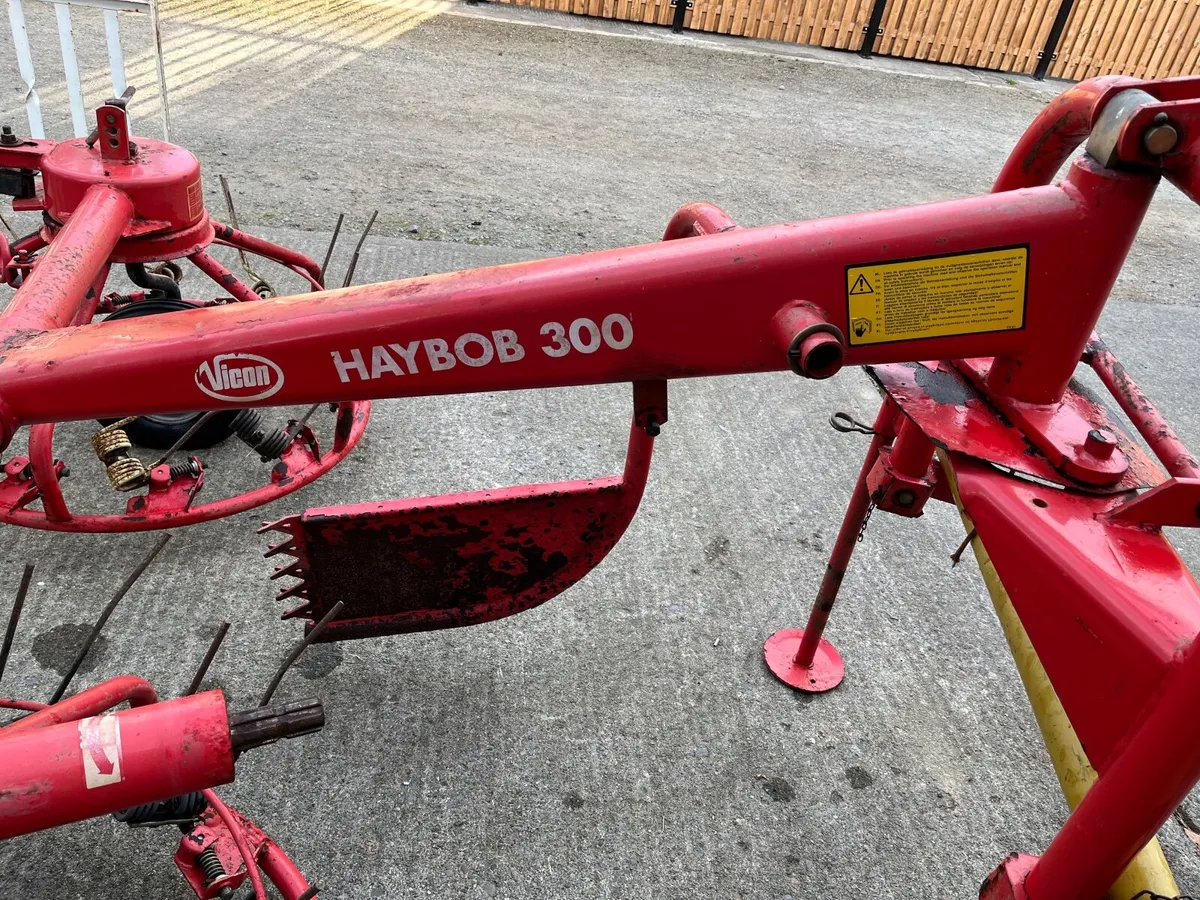 HayBob - Image 2