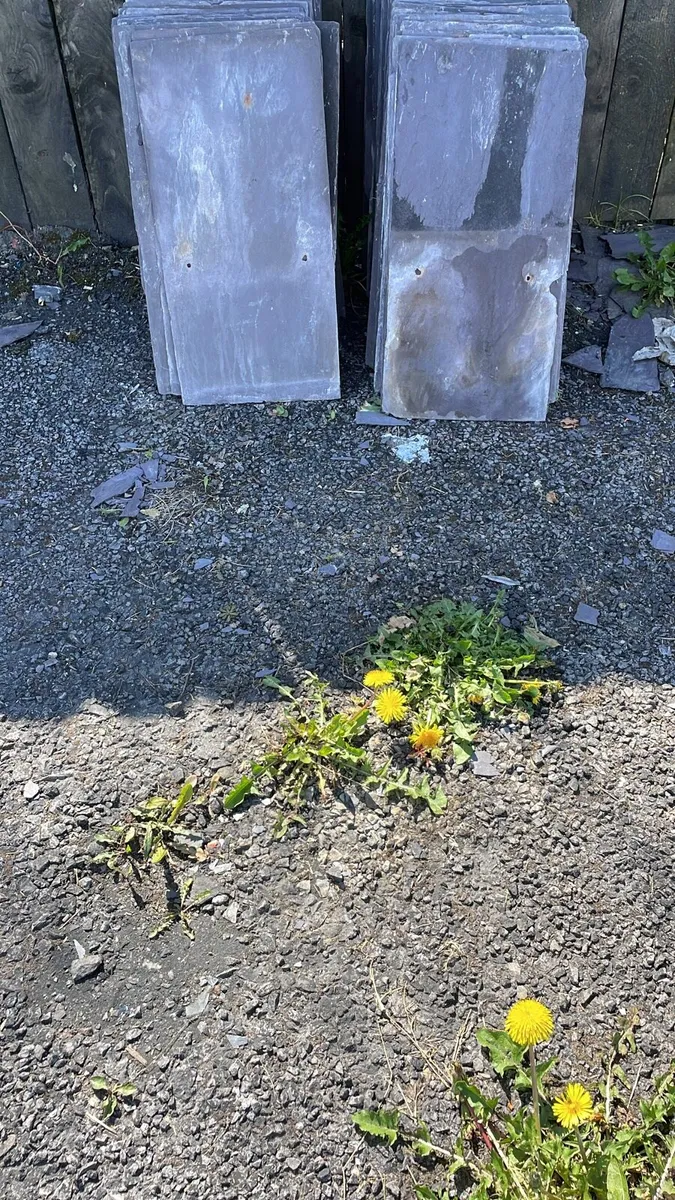 Blue banger slates - Image 1