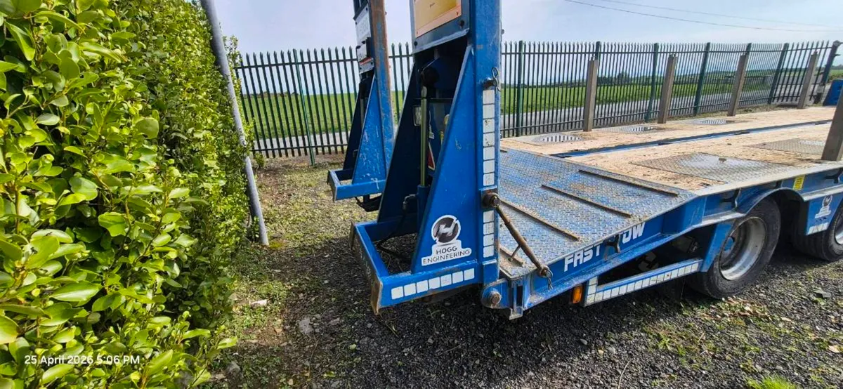 Hogg  Lowloader - Image 3