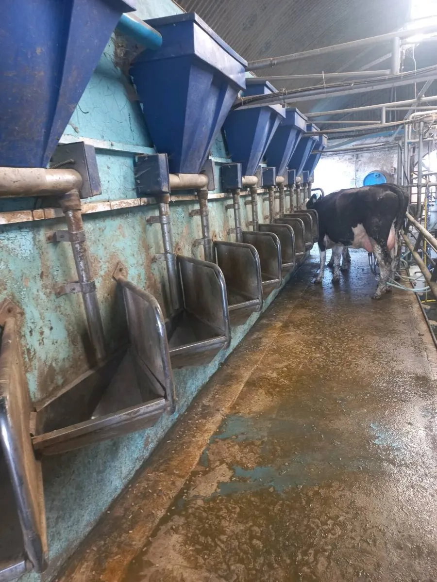 Feeding trough and parlour gates - Image 1