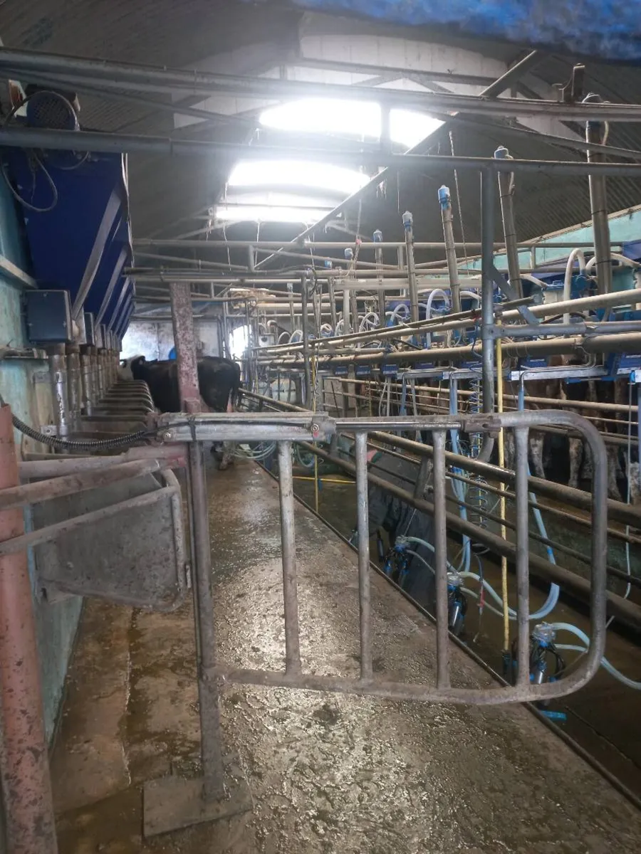 Feeding trough and parlour gates - Image 2