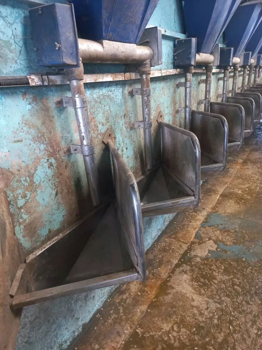 Feeding trough and parlour gates - Image 4