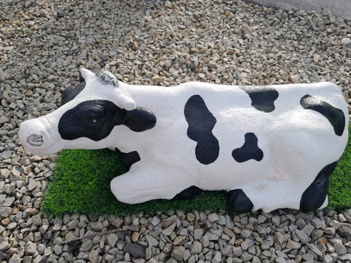 Concerate cow - Image 3