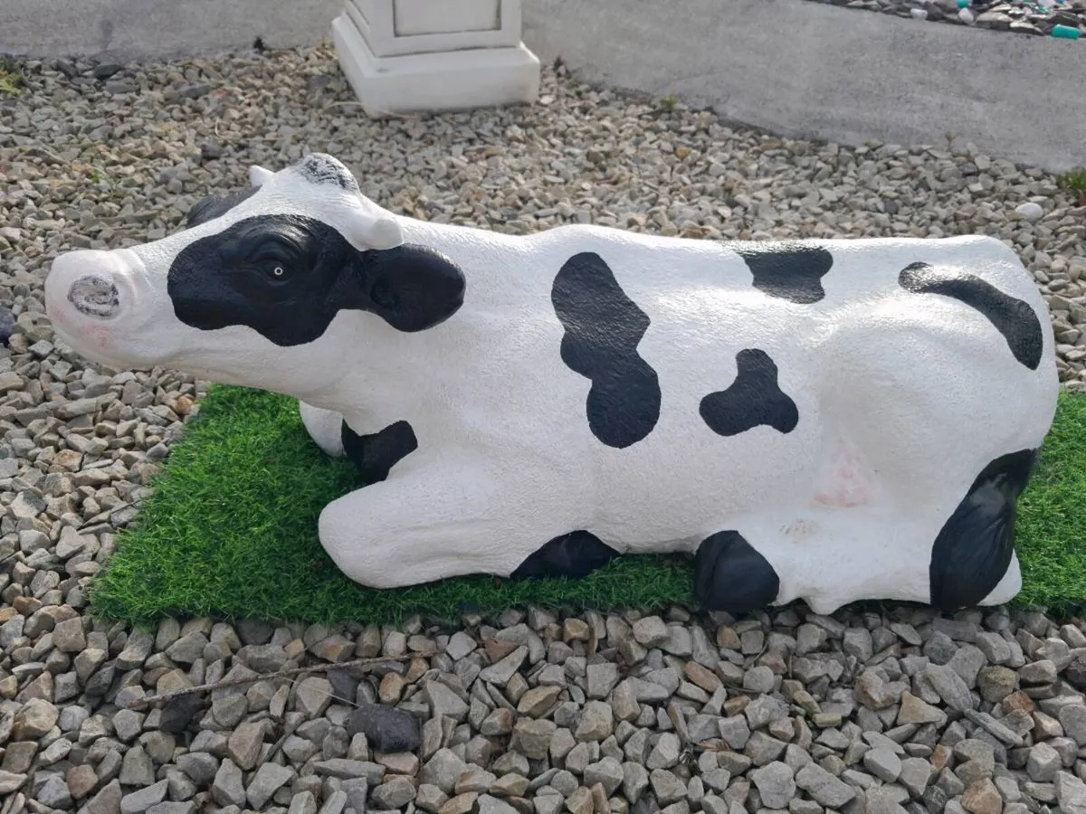 Concerate cow - Image 1