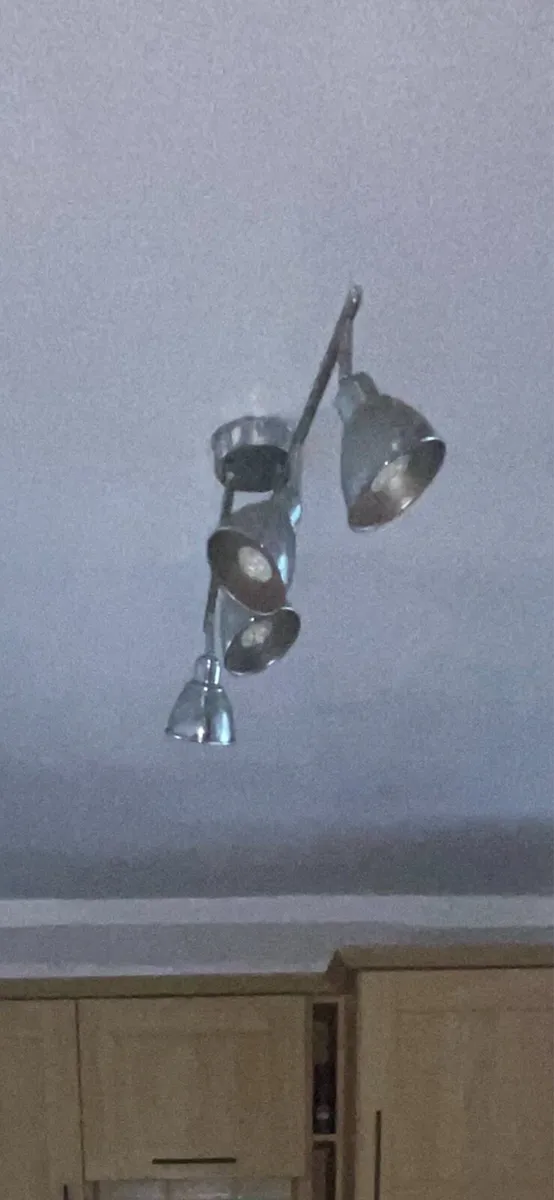 Silver 4x ceiling light with bulbs - Image 1