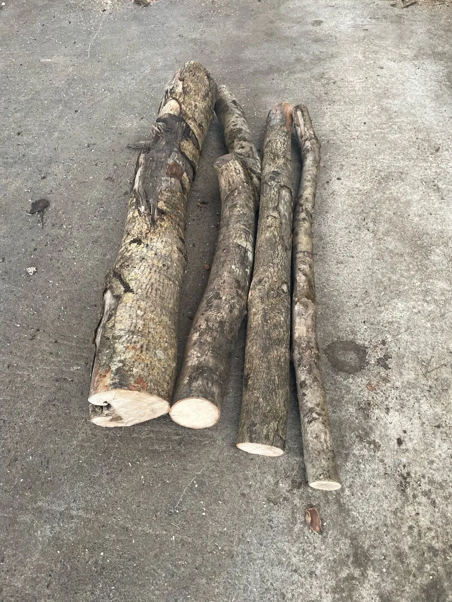 Half price  firewood - Image 1