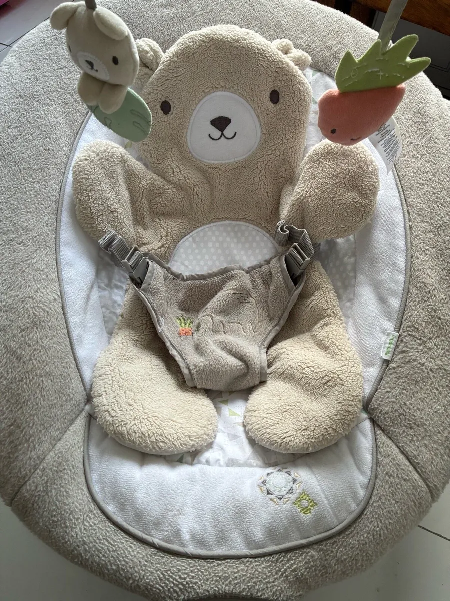 Baby bouncer - Ingenuity inlighten baby bouncer - Image 1