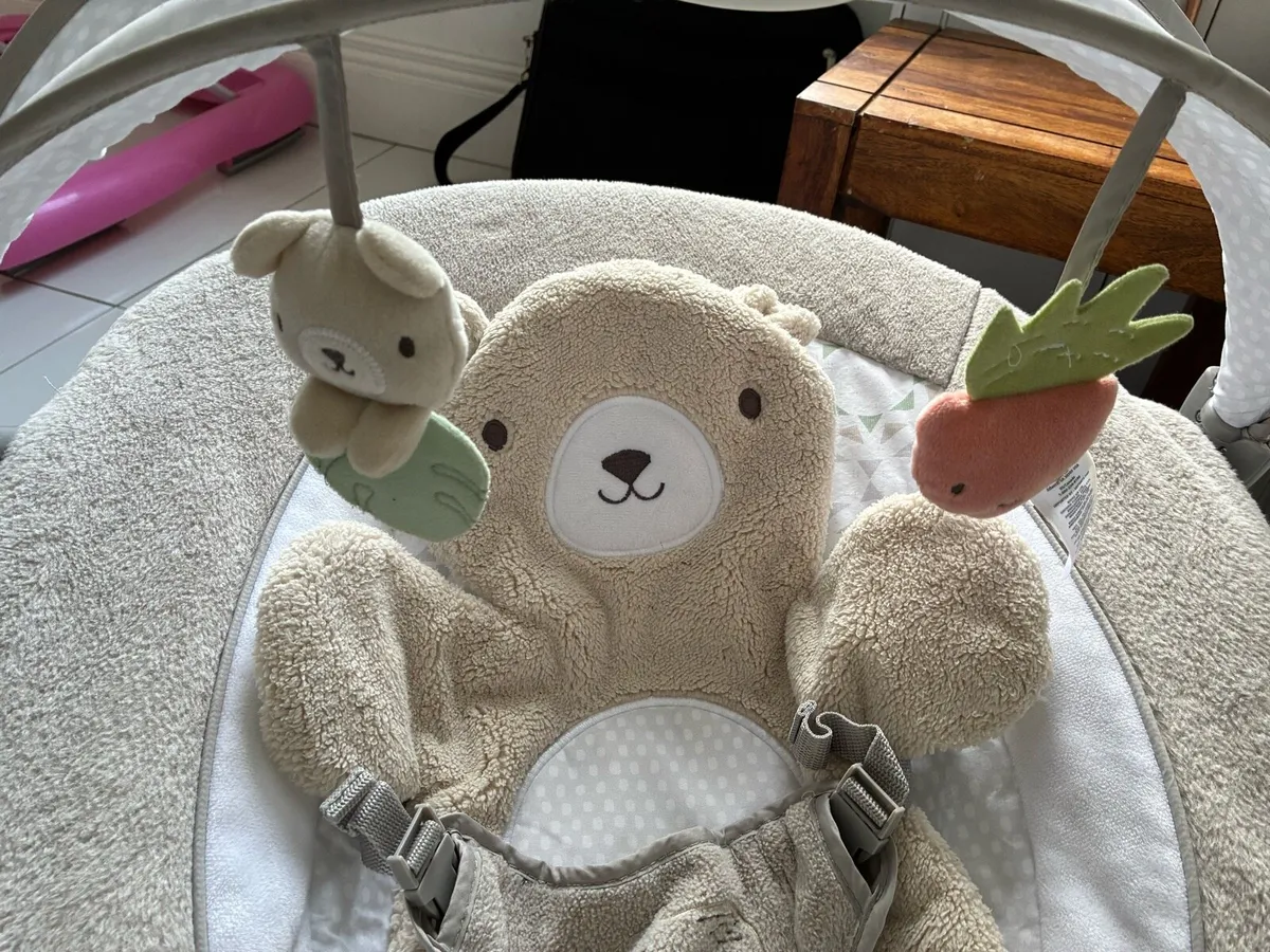 Baby bouncer - Ingenuity inlighten baby bouncer - Image 2