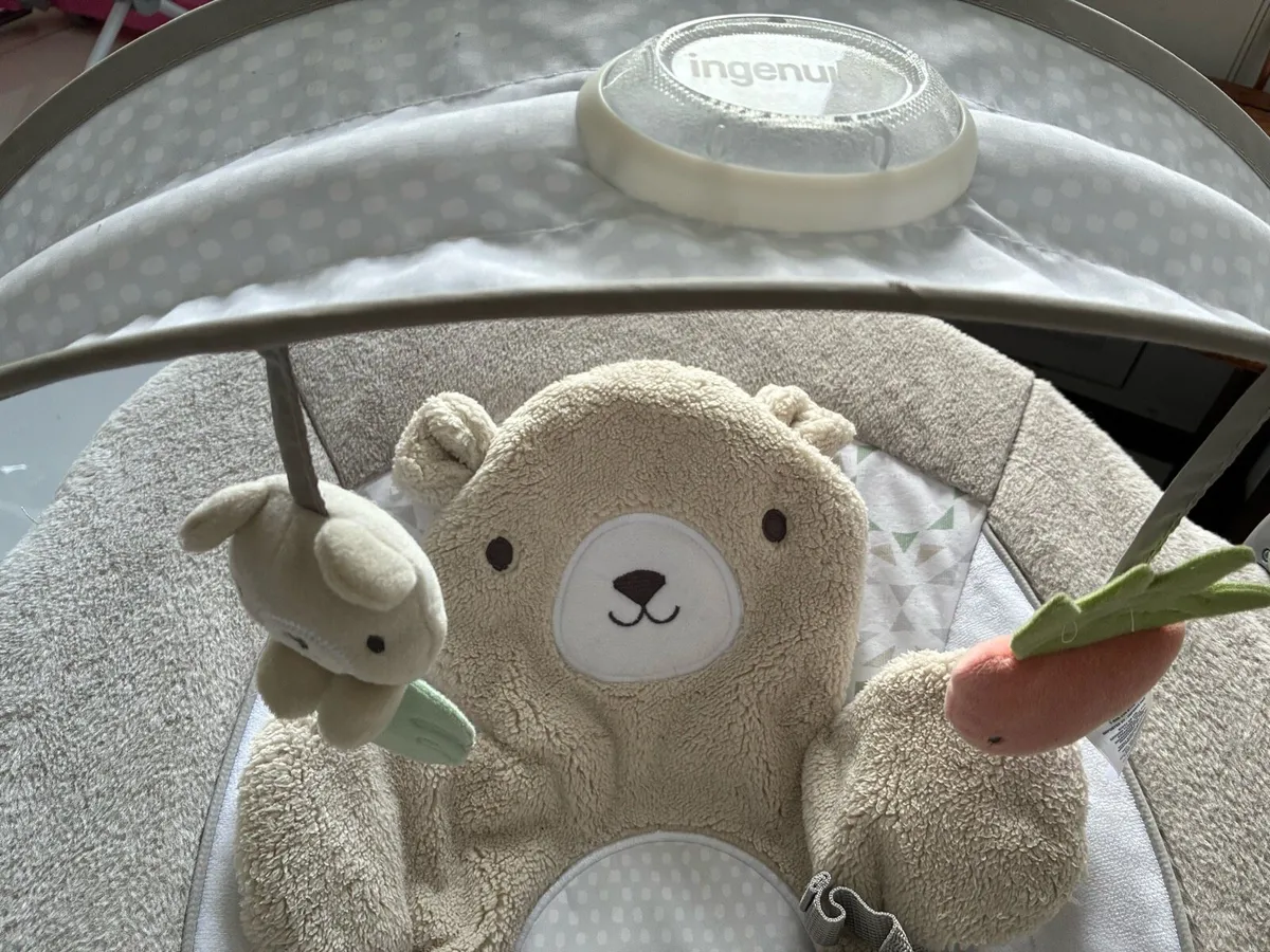 Baby bouncer - Ingenuity inlighten baby bouncer - Image 3
