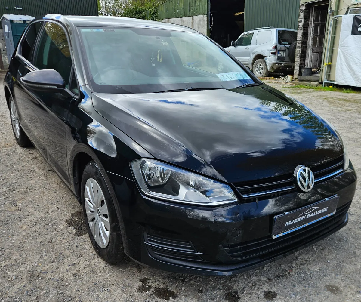 Vw Golf van 2016 1.6d 200km - Image 1