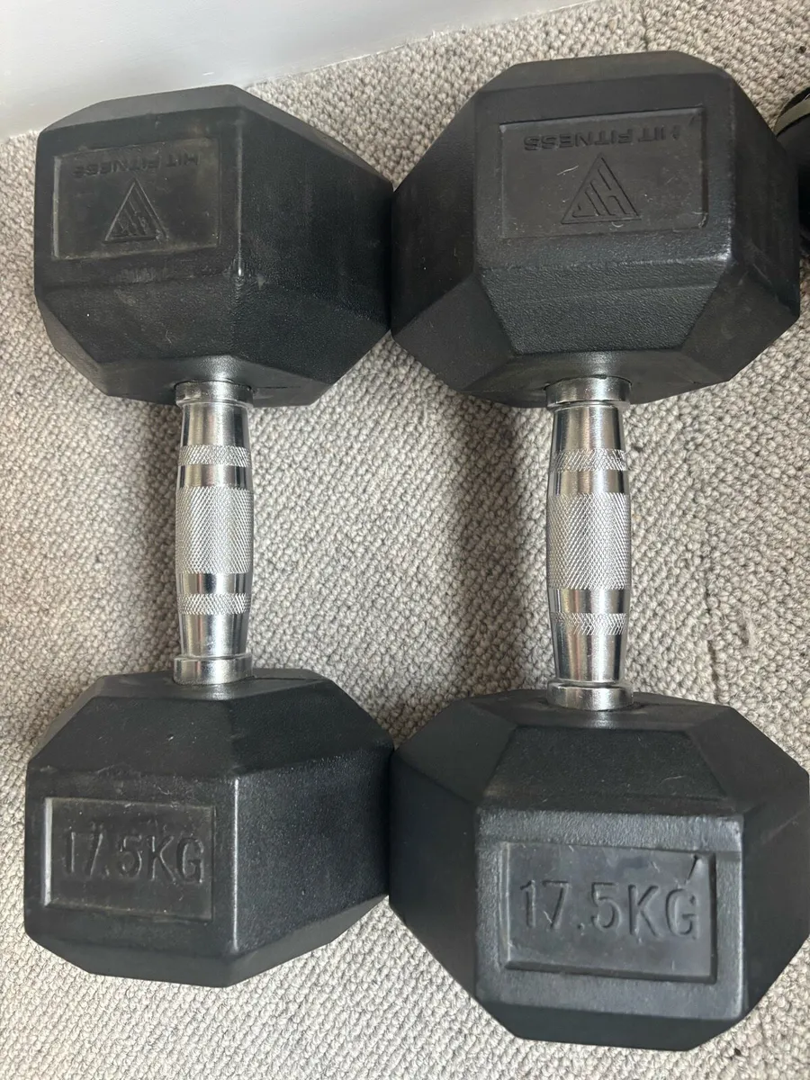 17.5kg Hex Dumbbells (Pair)