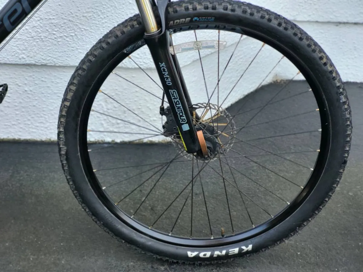 CARERRA VENGANCE - Image 3