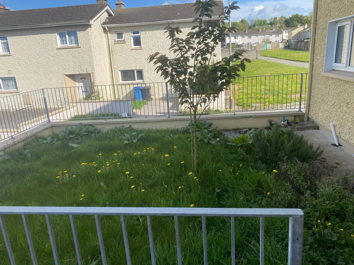 If anyone is looking to get there grass cut in Lon - Image 2