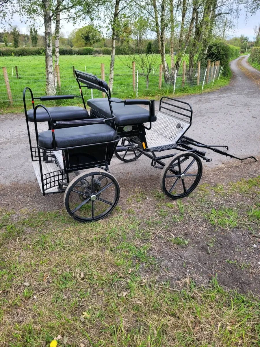Shetland Sport Pony carriage for sale - Image 2